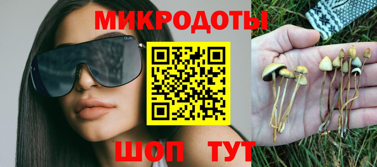 Псилоцибиновые грибы MAGIC MUSHROOMS  Псилоцибиновые грибы Psilocybe  Вход с VPN  Лесной 